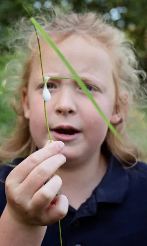 Coppice Valley Primary School (19)