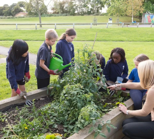 Copyright Oatlands Junior School (19)