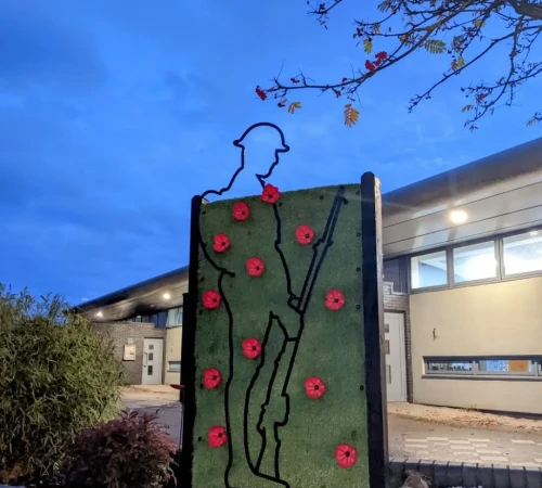meadowfield poppies