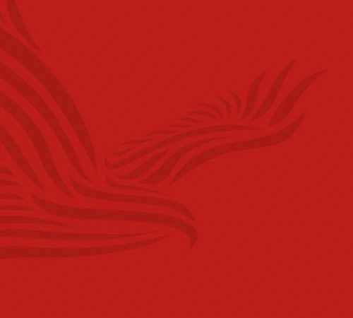 Red Kite red background with bird