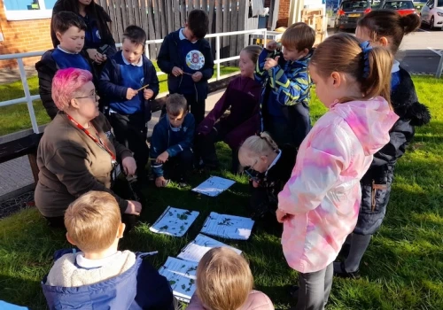 Templenewsam Halton Rewilding activity