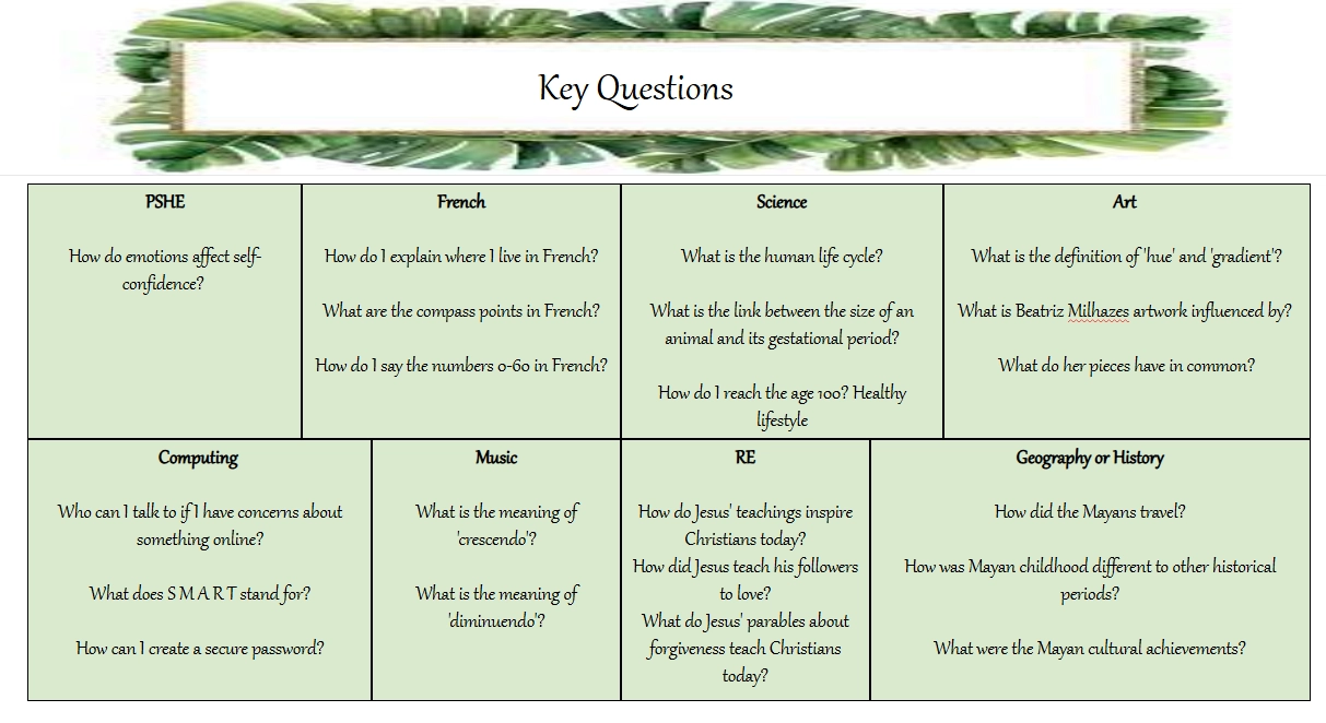 Y5 Key Words